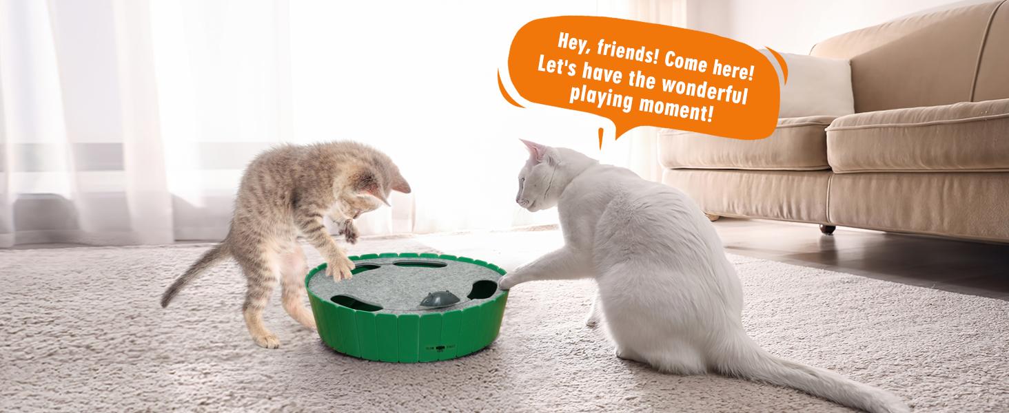 Pawaboo Interactive Whack-A-Mole Cat Toy with Running Mouse - Engaging Hide & Seek Fun for Your Feline Friend