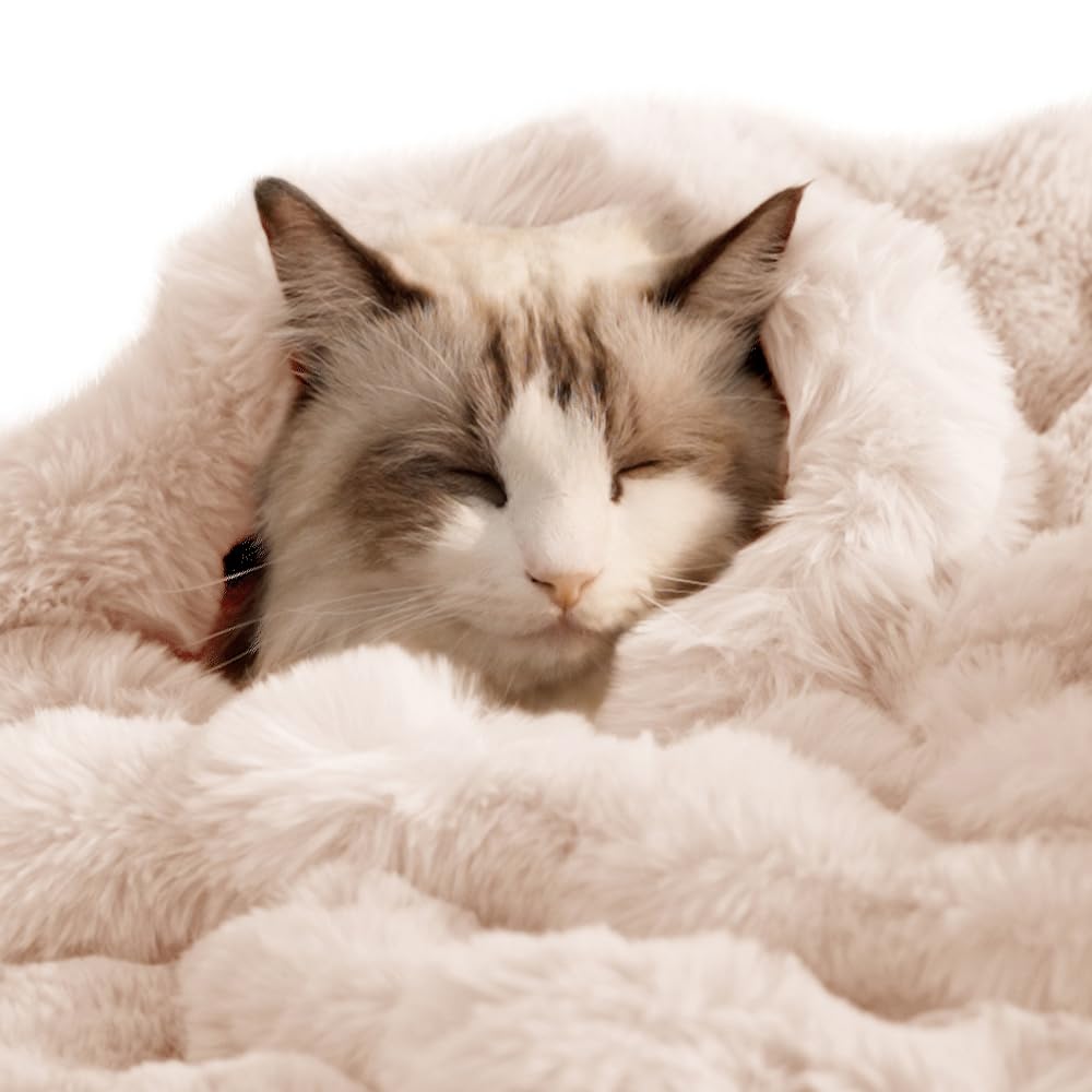 SOMAHE Self-Warming Cat Blanket, Dual-Side Plush Sherpa Throw with Anti-Static, Snuggle Mat for Kittens & Cats, Cozy Bed Topper for Windowsills & Couches, Machine Washable & Dryable, 21x18 Inch Gray
