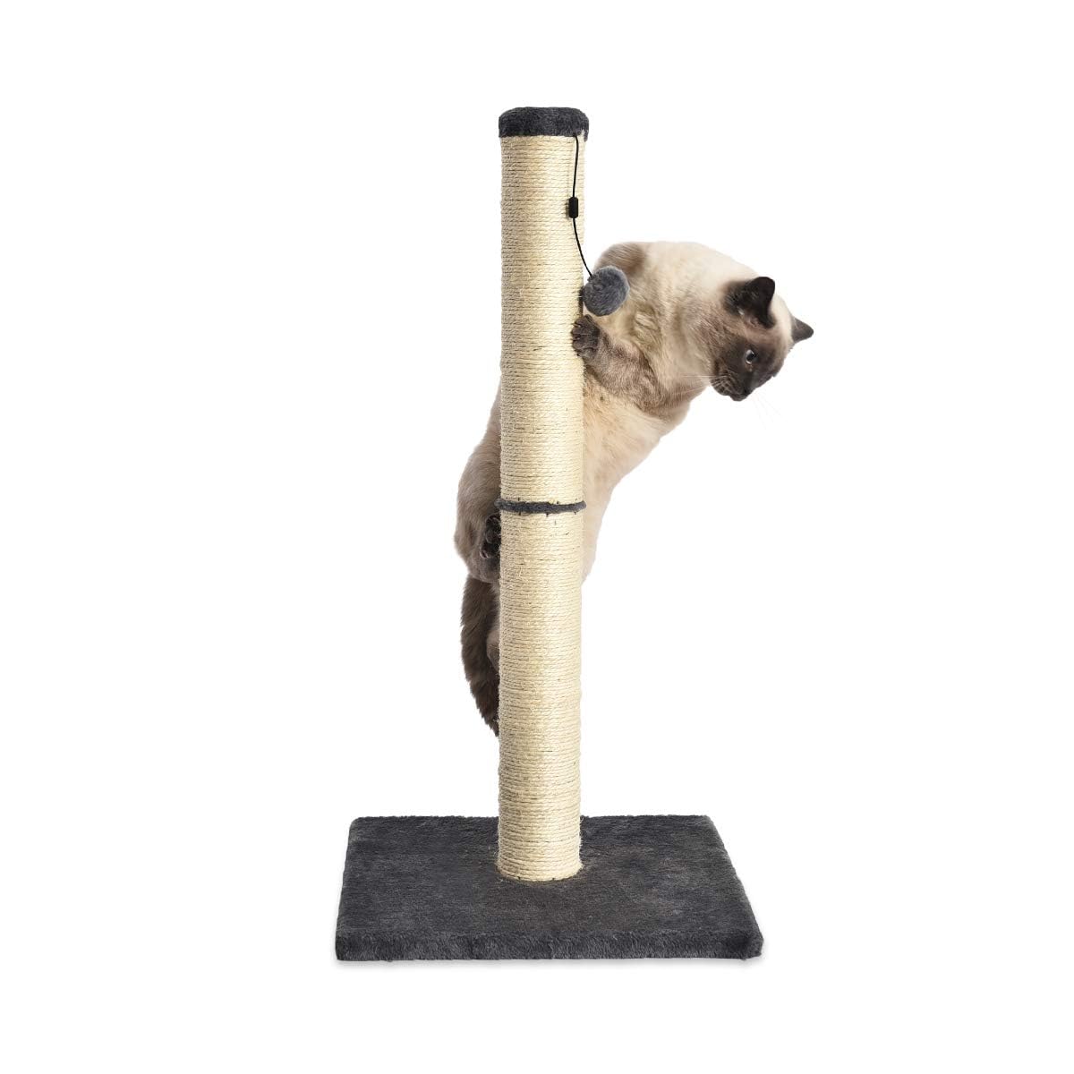 Amazon Basics Sturdy Cat Scratching Post for Indoor Cats & Kittens, Classic Single Post with Sisal Rope, Jute Fiber, Wood Base, Large (35.4"H), Brown