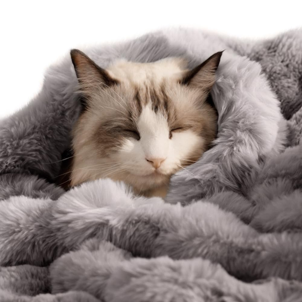 SOMAHE Self-Warming Cat Blanket, Dual-Side Plush Sherpa Throw with Anti-Static, Snuggle Mat for Kittens & Cats, Cozy Bed Topper for Windowsills & Couches, Machine Washable & Dryable, 21x18 Inch Gray