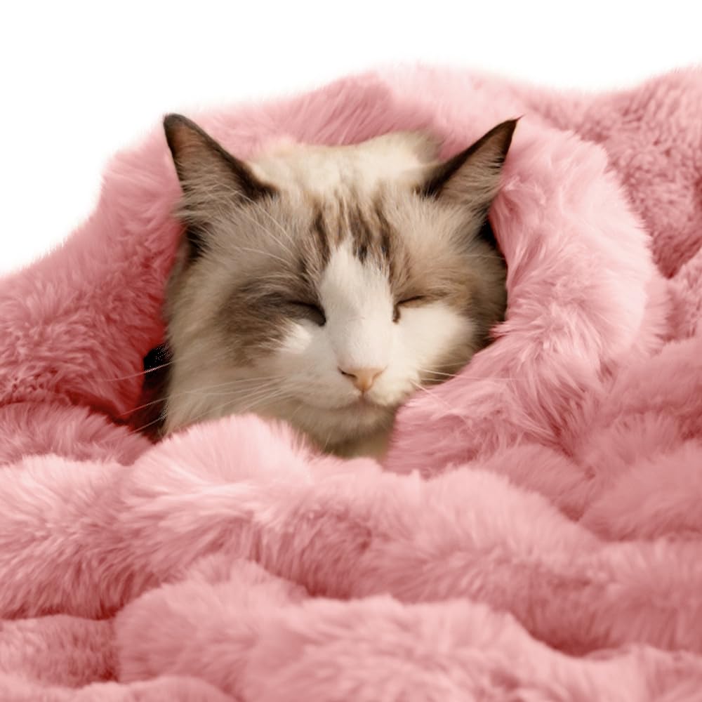 SOMAHE Self-Warming Cat Blanket, Dual-Side Plush Sherpa Throw with Anti-Static, Snuggle Mat for Kittens & Cats, Cozy Bed Topper for Windowsills & Couches, Machine Washable & Dryable, 21x18 Inch Gray