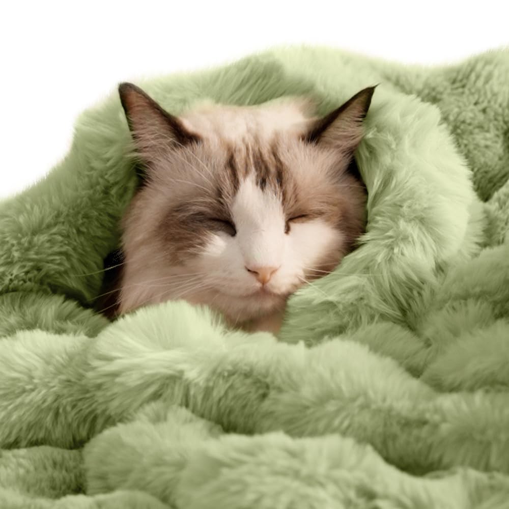 SOMAHE Self-Warming Cat Blanket, Dual-Side Plush Sherpa Throw with Anti-Static, Snuggle Mat for Kittens & Cats, Cozy Bed Topper for Windowsills & Couches, Machine Washable & Dryable, 21x18 Inch Gray