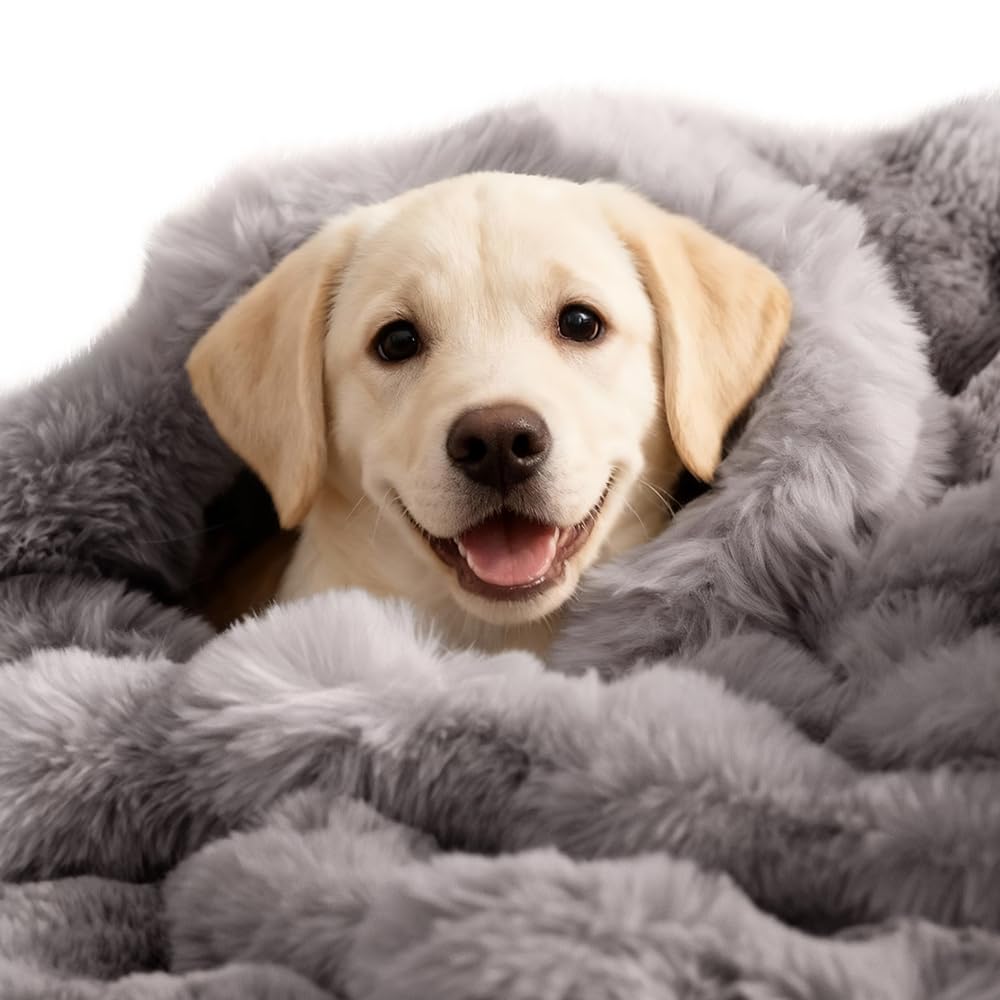 SOMAHE Self-Warming Cat Blanket, Dual-Side Plush Sherpa Throw with Anti-Static, Snuggle Mat for Kittens & Cats, Cozy Bed Topper for Windowsills & Couches, Machine Washable & Dryable, 21x18 Inch Gray