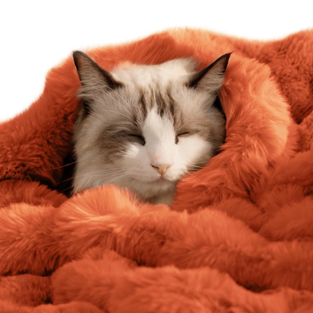 SOMAHE Self-Warming Cat Blanket, Dual-Side Plush Sherpa Throw with Anti-Static, Snuggle Mat for Kittens & Cats, Cozy Bed Topper for Windowsills & Couches, Machine Washable & Dryable, 21x18 Inch Gray