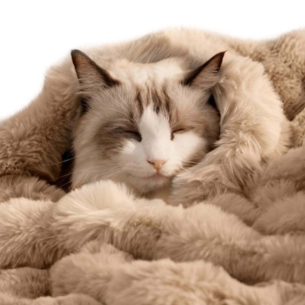 SOMAHE Self-Warming Cat Blanket, Dual-Side Plush Sherpa Throw with Anti-Static, Snuggle Mat for Kittens & Cats, Cozy Bed Topper for Windowsills & Couches, Machine Washable & Dryable, 21x18 Inch Gray