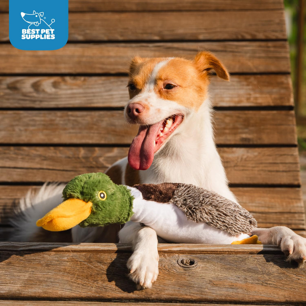 Best Pet Supplies Interactive Squeaky Dog Chew Toy, Ideal Dog Toys for Chewers, Small, Medium & Large Dogs, and Fetch Lovers - Crinkle Duck (Yellow), Large