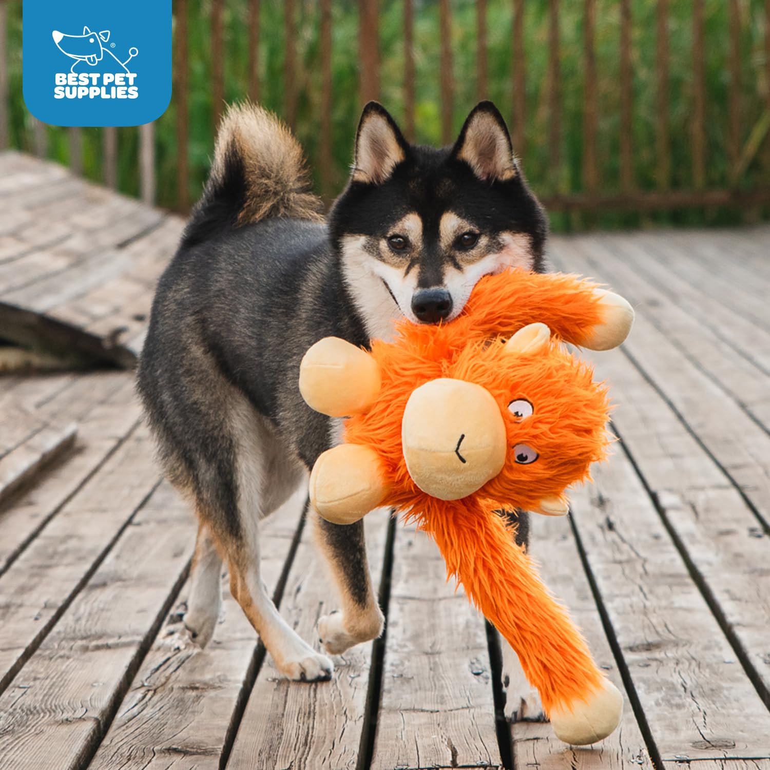 Best Pet Supplies Interactive Squeaky Dog Chew Toy, Ideal Dog Toys for Chewers, Small, Medium & Large Dogs, and Fetch Lovers - Crinkle Duck (Yellow), Large