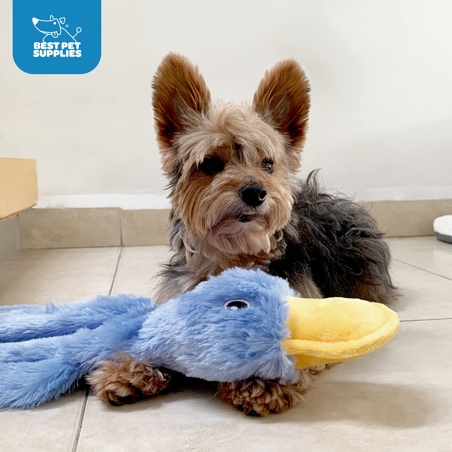 Best Pet Supplies Interactive Squeaky Dog Chew Toy, Ideal Dog Toys for Chewers, Small, Medium & Large Dogs, and Fetch Lovers - Crinkle Duck (Yellow), Large