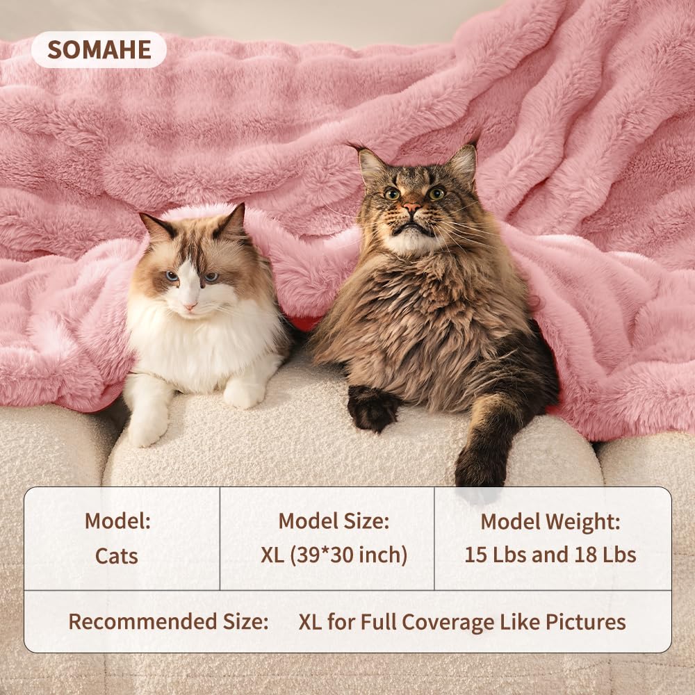 SOMAHE Self-Warming Cat Blanket, Dual-Side Plush Sherpa Throw with Anti-Static, Snuggle Mat for Kittens & Cats, Cozy Bed Topper for Windowsills & Couches, Machine Washable & Dryable, 21x18 Inch Gray