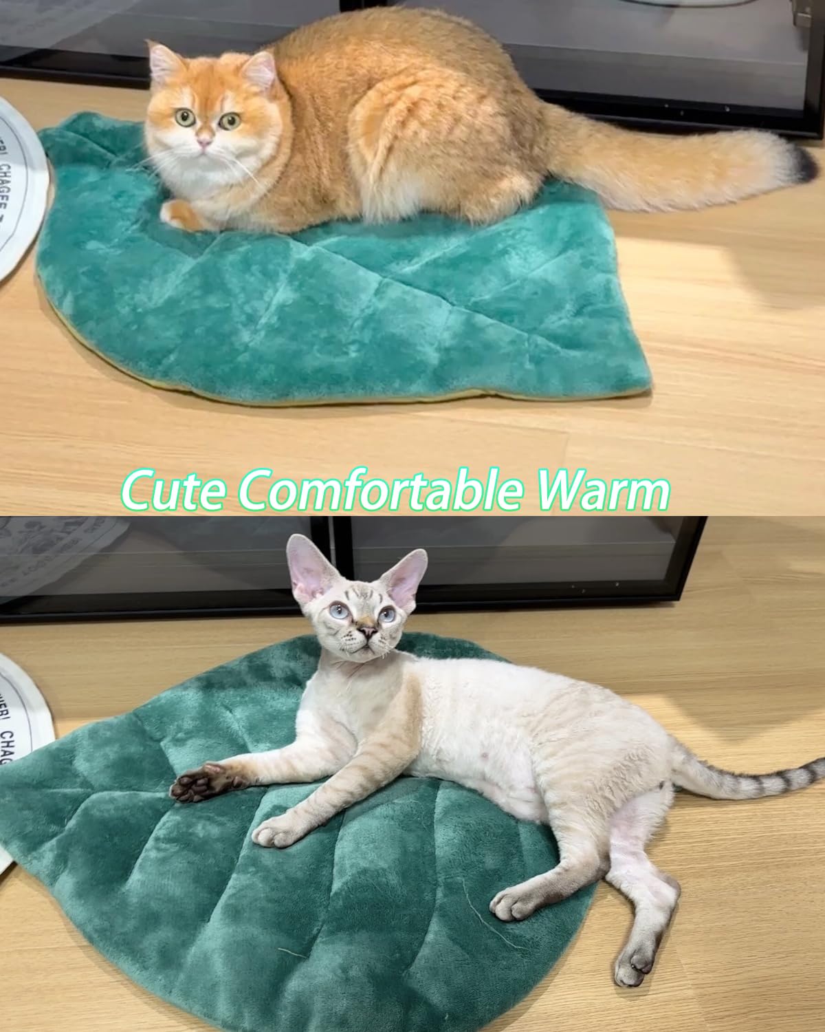 Cat Mat Self Warming Cat Bed 26"x20" Leaf Shaped Cotton Soft Warm Pet Pad Blanket for Indoor Bed Couch Sofa Floors Cat and Dog (Green)