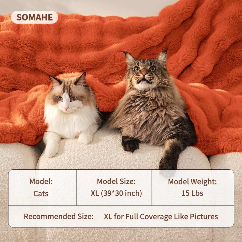 SOMAHE Self-Warming Cat Blanket, Dual-Side Plush Sherpa Throw with Anti-Static, Snuggle Mat for Kittens & Cats, Cozy Bed Topper for Windowsills & Couches, Machine Washable & Dryable, 21x18 Inch Gray
