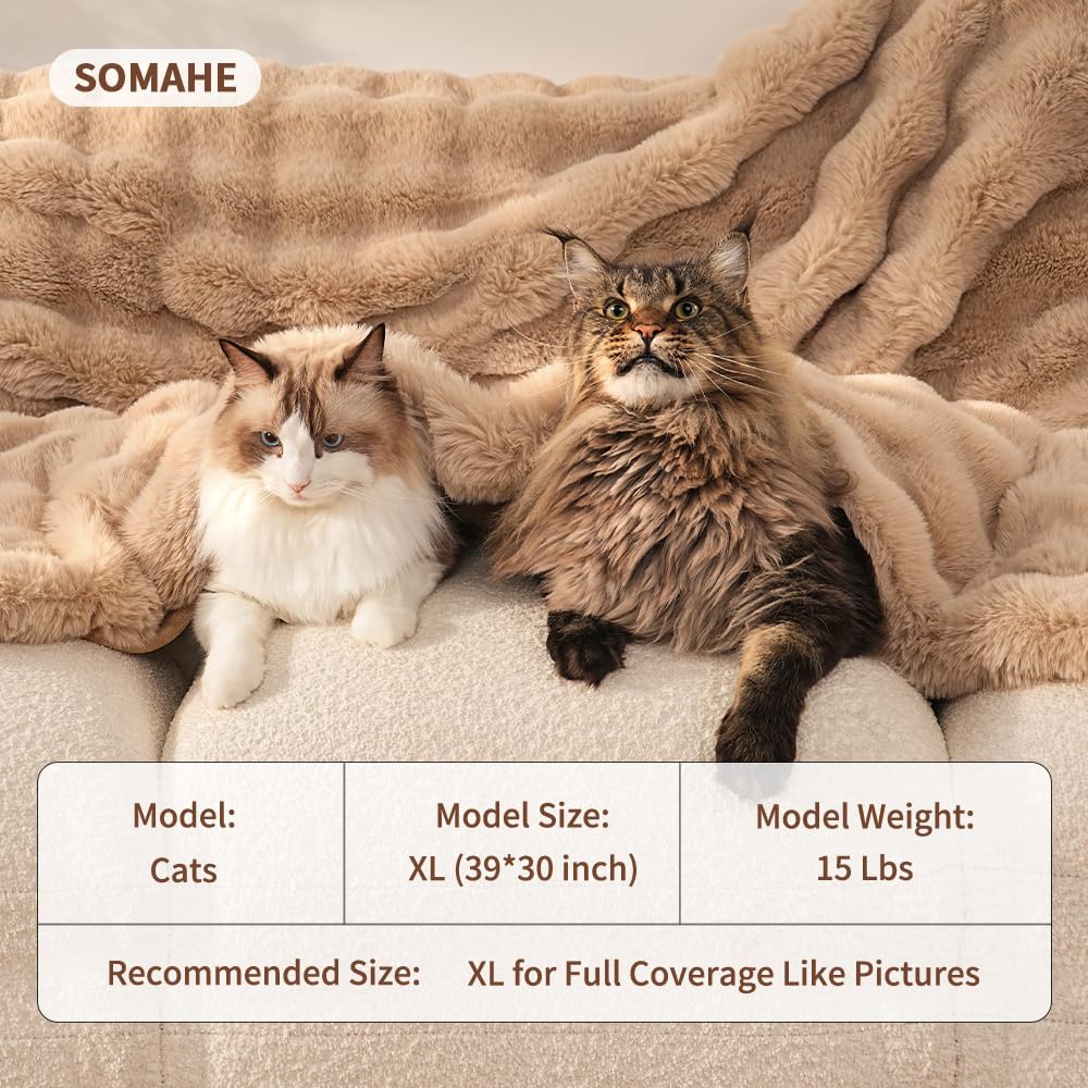 SOMAHE Self-Warming Cat Blanket, Dual-Side Plush Sherpa Throw with Anti-Static, Snuggle Mat for Kittens & Cats, Cozy Bed Topper for Windowsills & Couches, Machine Washable & Dryable, 21x18 Inch Gray