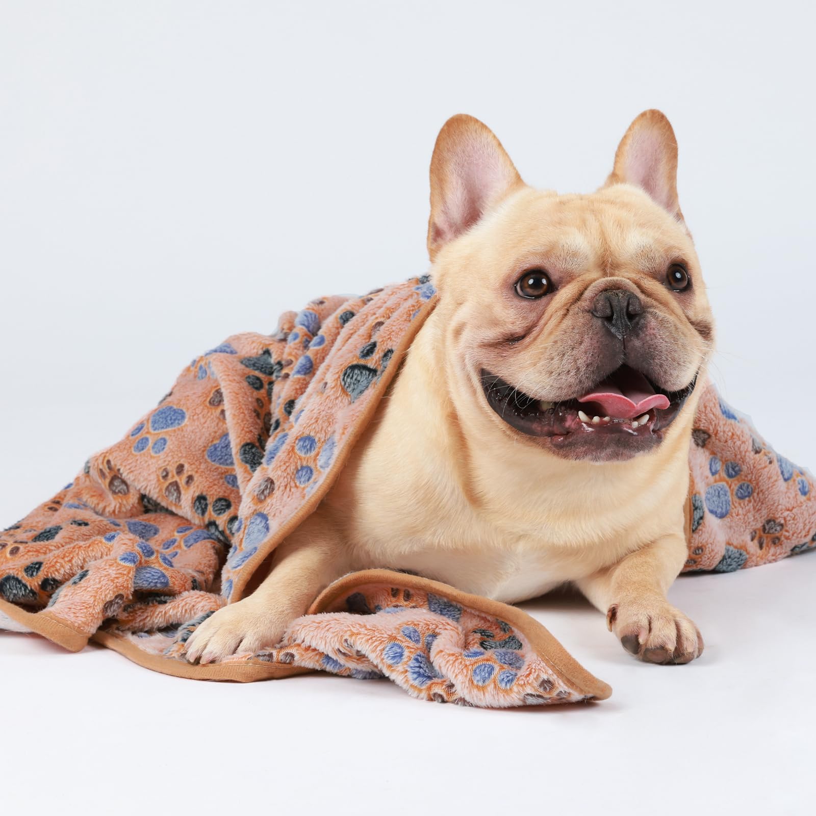 Luciphia 1 Pack 3 Cat Printed Fleece Pet Blankets Washable，Soft Warm Throw Covers for Crate Couch Bed，Cozy Puppy Essentials for Dogs and Cats，Purple/Grey/Khaki, Small (23x16 inch)