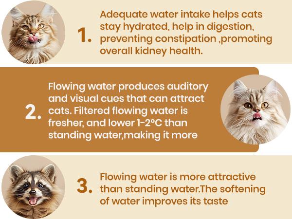 Elevate Your Cat's Hydration with the Oneisall 2L Stainless Steel Water Fountain - Includes 3 Replacement Filters and LED Visual Water Level