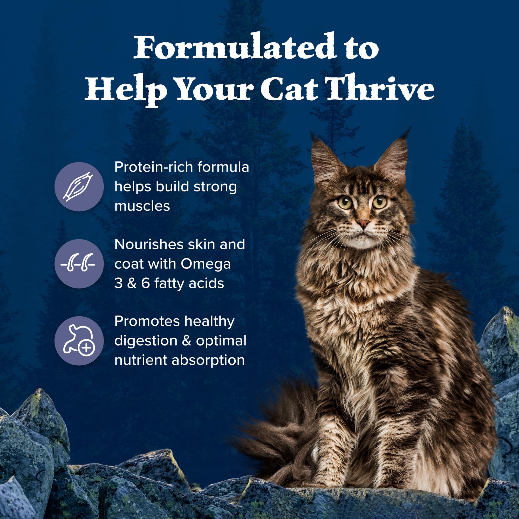 Blue Buffalo Wilderness Nature's Evolutionary Diet High-Protein, Grain-Free Natural Dry Food for Adult Cats, Chicken, 4-lb. Bag