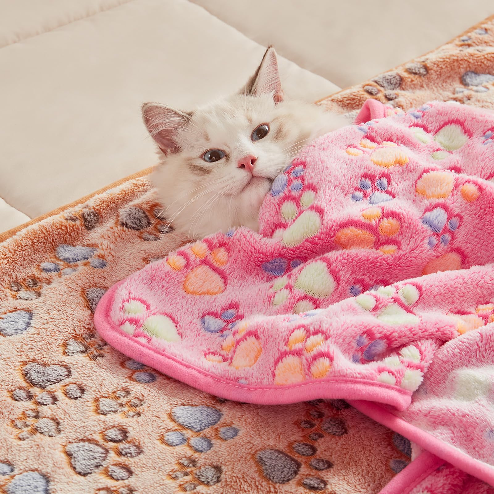 Luciphia 1 Pack 3 Cat Printed Fleece Pet Blankets Washable，Soft Warm Throw Covers for Crate Couch Bed，Cozy Puppy Essentials for Dogs and Cats，Purple/Grey/Khaki, Small (23x16 inch)