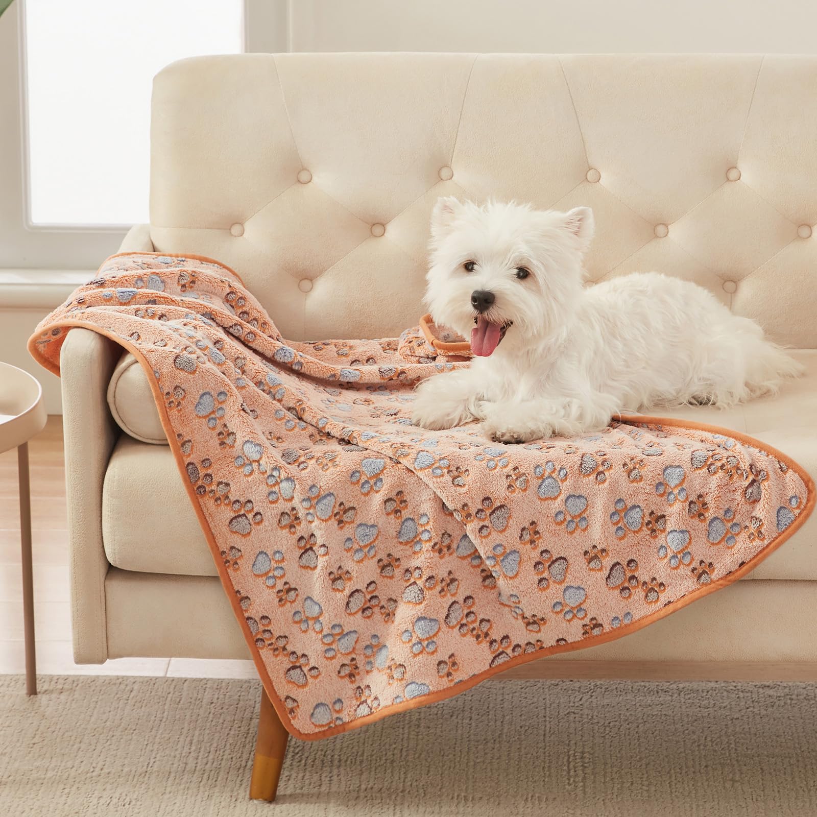 Luciphia 1 Pack 3 Cat Printed Fleece Pet Blankets Washable，Soft Warm Throw Covers for Crate Couch Bed，Cozy Puppy Essentials for Dogs and Cats，Purple/Grey/Khaki, Small (23x16 inch)