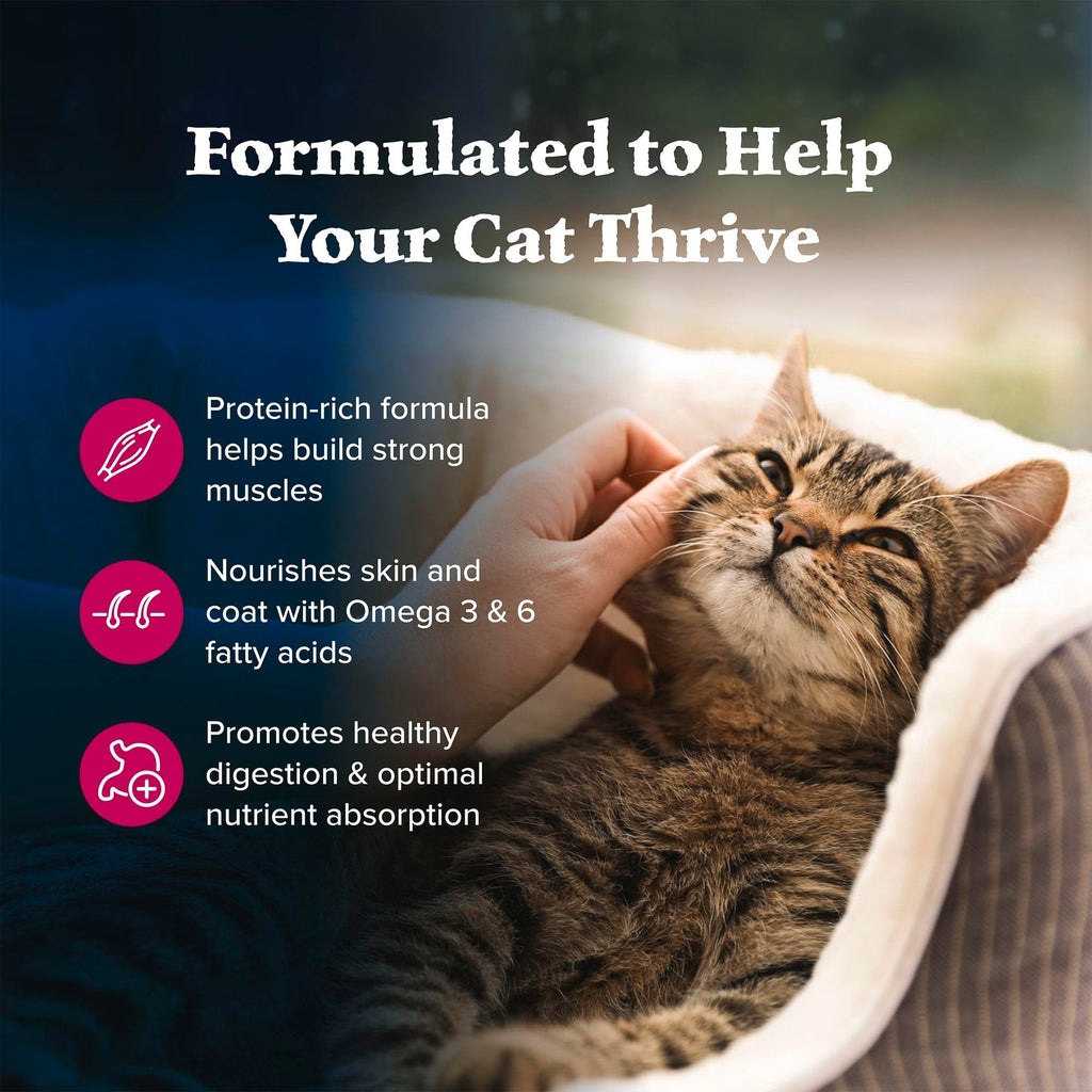 Blue Buffalo Wilderness Nature's Evolutionary Diet High-Protein, Grain-Free Natural Dry Food for Adult Cats, Chicken, 4-lb. Bag