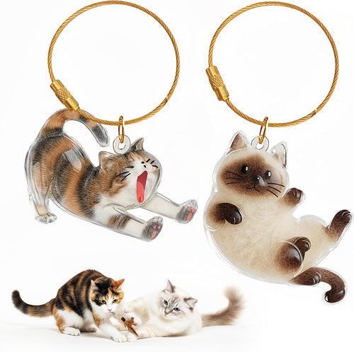 2Pcs Cat Hair Keepsake Bottles, Pet Hair Keychain for Collecting Hair, Furever Gift for Pet Lovers, Cat Keychain Memory Keepsake