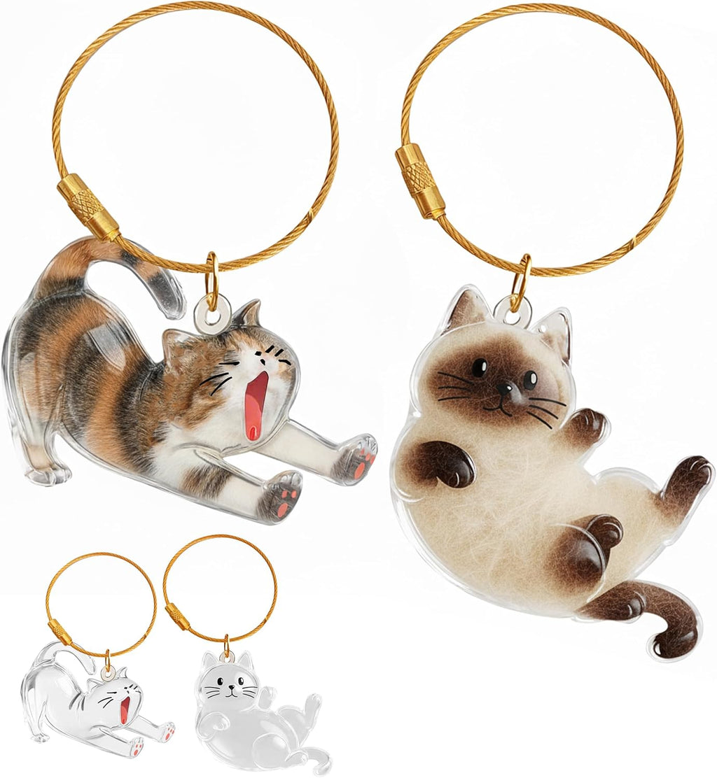 2Pcs Cat Hair Keepsake Bottles, Pet Hair Keychain for Collecting Hair, Furever Gift for Pet Lovers, Cat Keychain Memory Keepsake