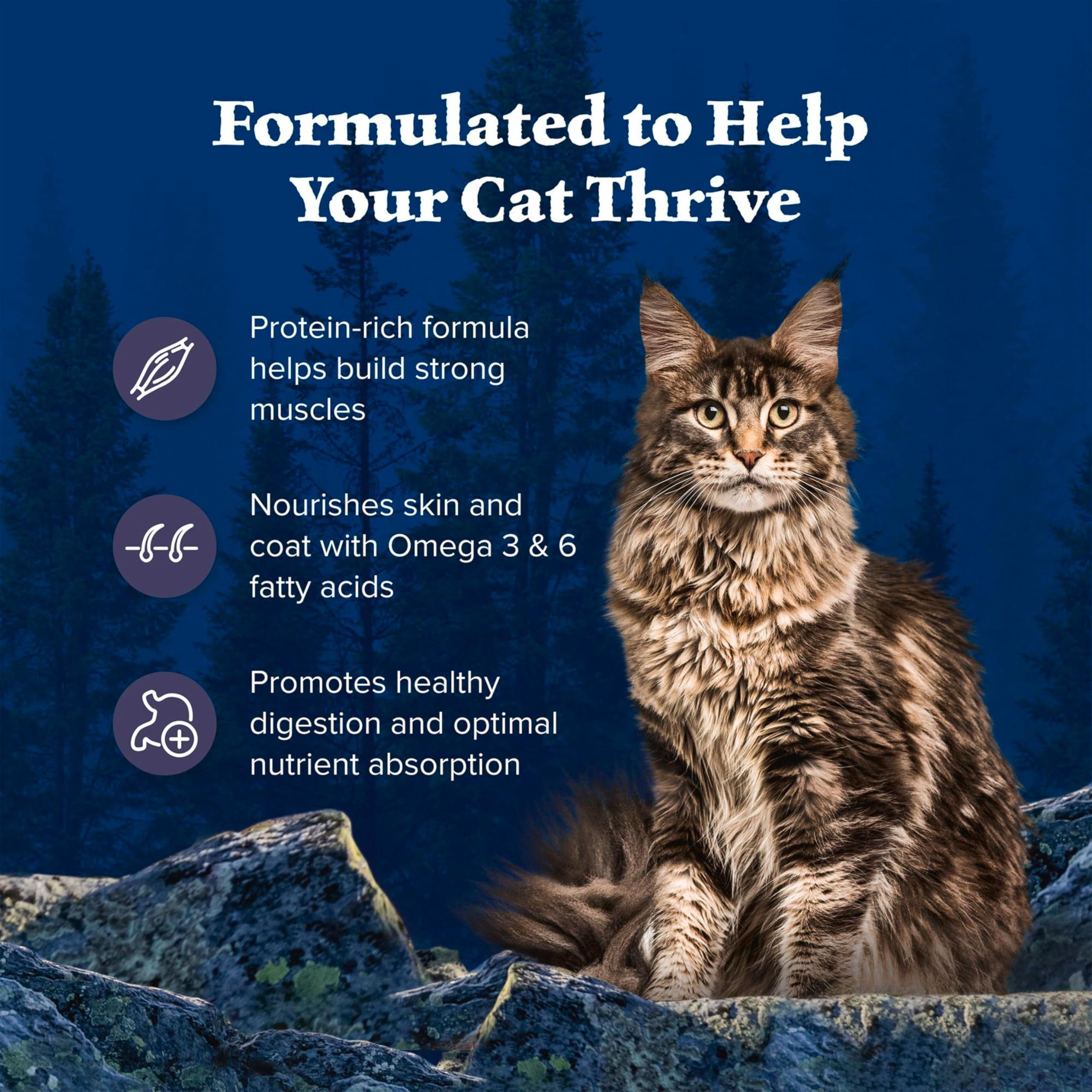 Blue Buffalo Wilderness Nature's Evolutionary Diet High-Protein, Grain-Free Natural Dry Food for Adult Cats, Chicken, 4-lb. Bag