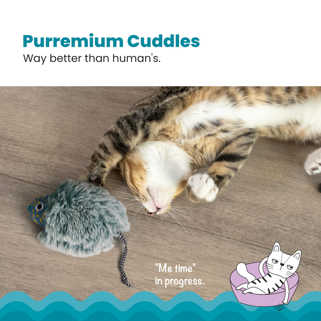Catstages Purr Pillow Cat Toy – Plush Cat Toy with Touch-Activated Purr for Calming Cats & Kittens