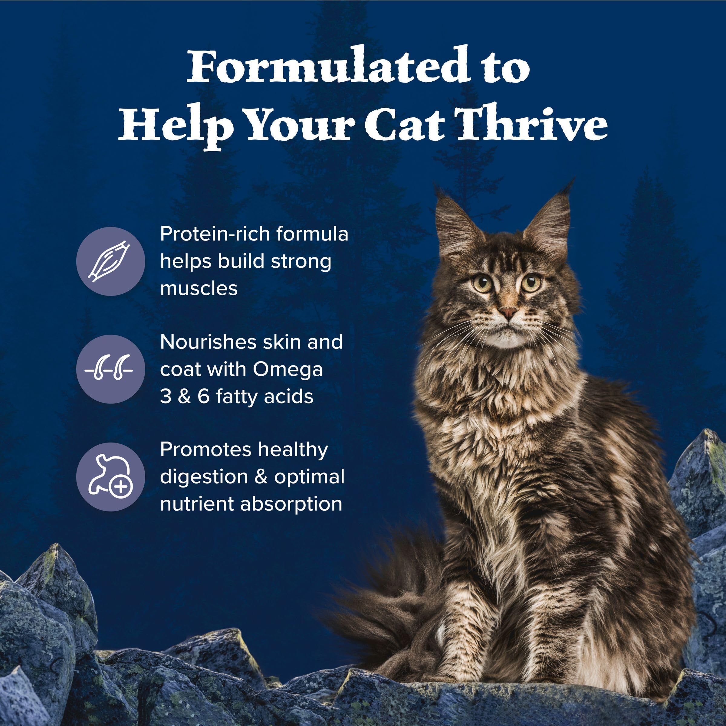 Blue Buffalo Wilderness Nature's Evolutionary Diet High-Protein, Grain-Free Natural Dry Food for Adult Cats, Chicken, 4-lb. Bag