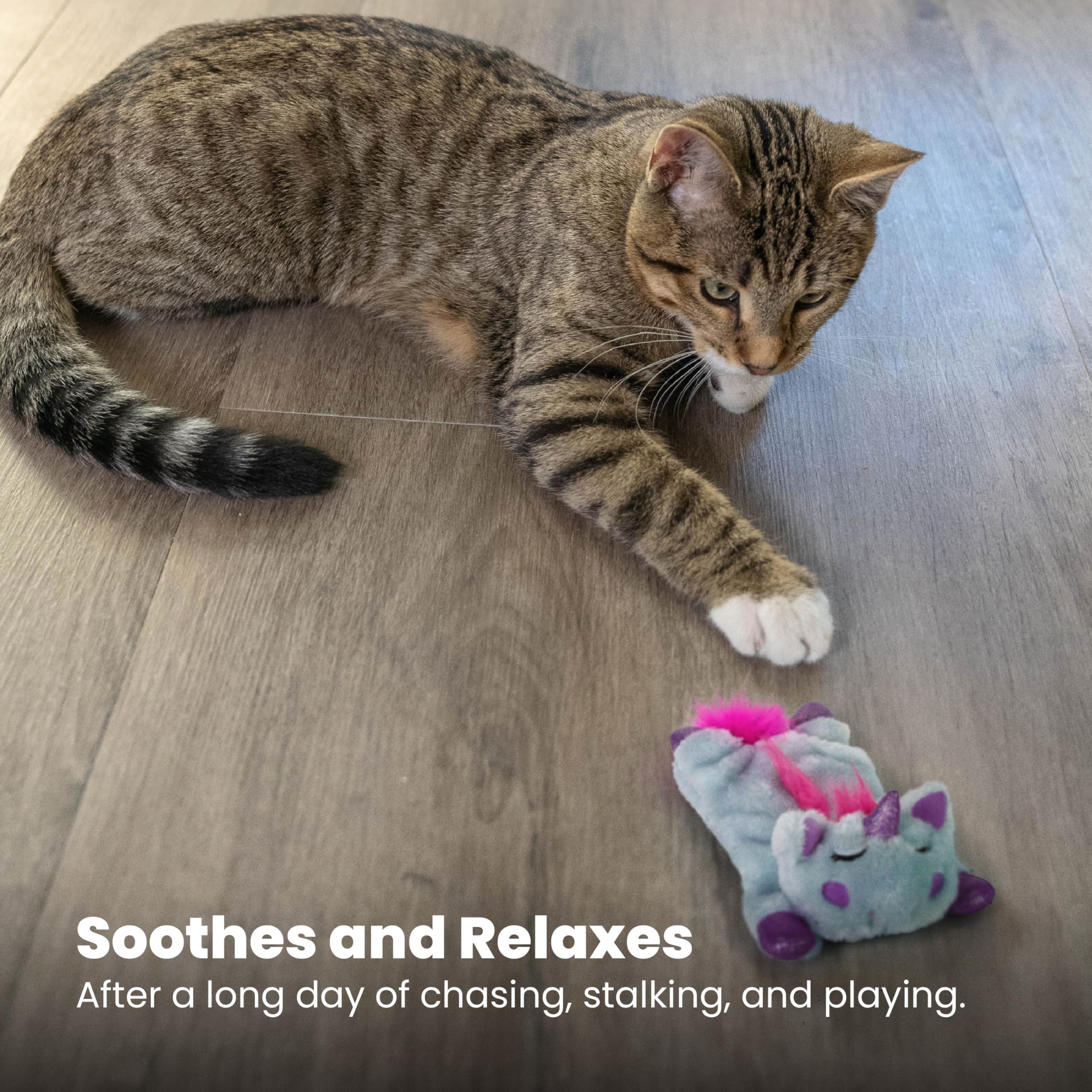 Catstages Purr Pillow Cat Toy – Plush Cat Toy with Touch-Activated Purr for Calming Cats & Kittens