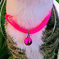 Chic Pink Adjustable Cat Collar - Stylish Neck Accessory for Fashion-Forward Felines