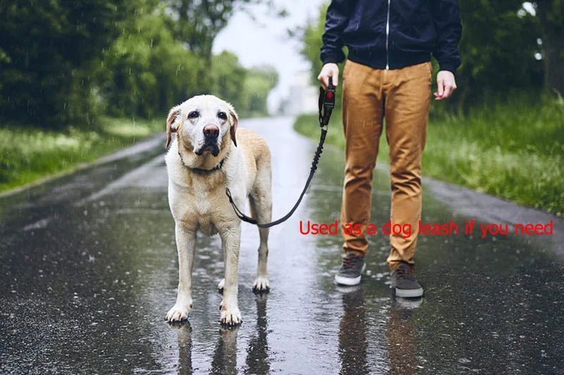 Pet Products Car Seat Belt Dog Leash with Buffer Elastic Reflective Safety Rope Leash Dog Rope